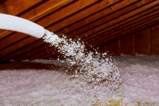 Best Residential Insulation in Brandywine Bay, NC