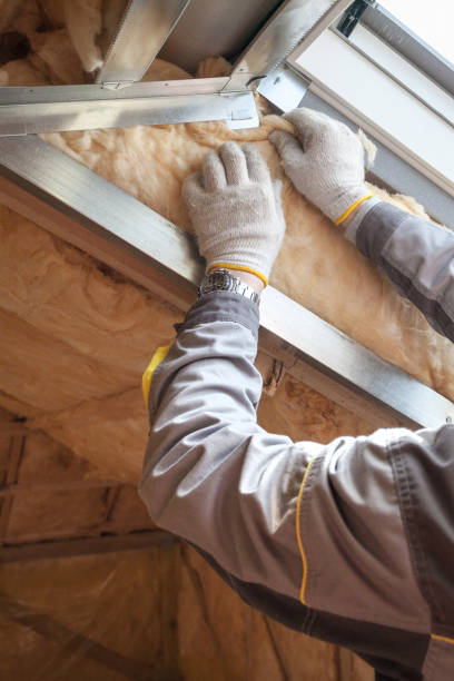 Best Spray Foam Insulation in Brandywine Bay, NC